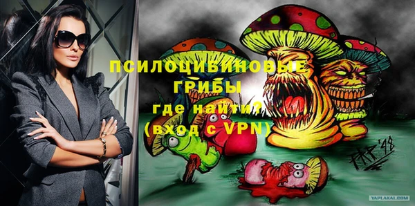 МДПВ Горняк