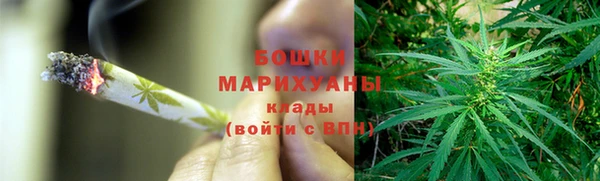 СК Сафоново