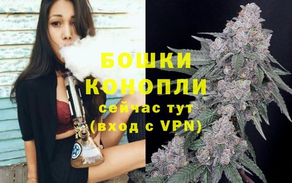 МДПВ Горняк