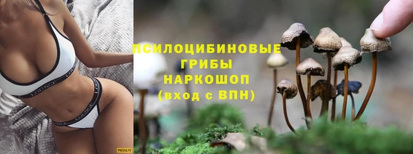 МДПВ Горняк