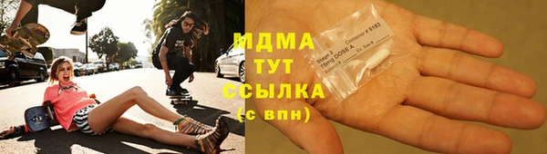 ПСИЛОЦИБИНОВЫЕ ГРИБЫ Горно-Алтайск