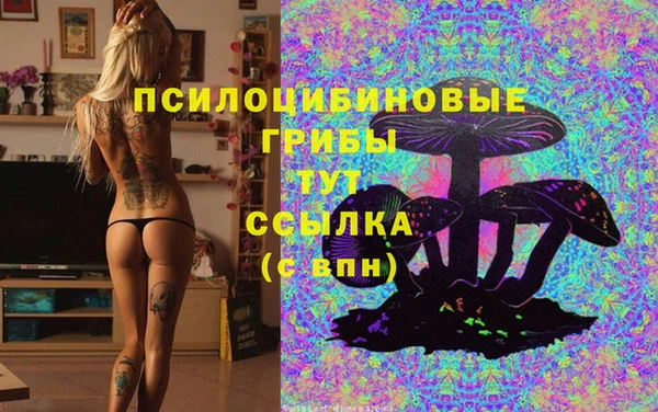ПСИЛОЦИБИНОВЫЕ ГРИБЫ Горно-Алтайск