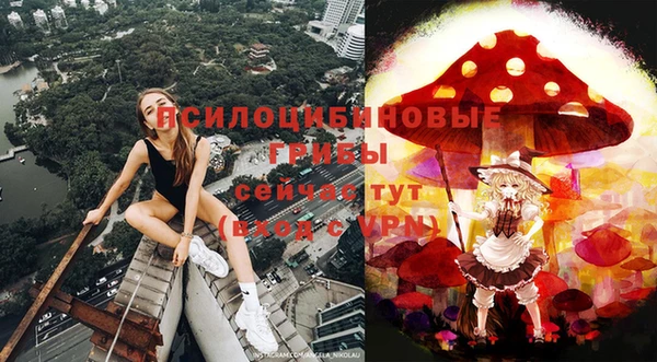 MDMA Горнозаводск
