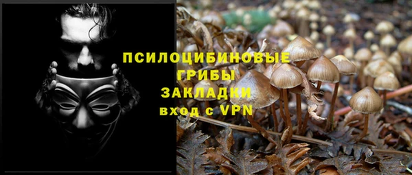 МДПВ Горняк