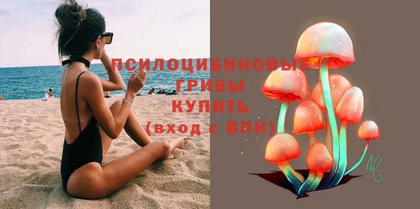 MDMA Горнозаводск