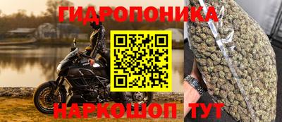 прущие крисы Волжский