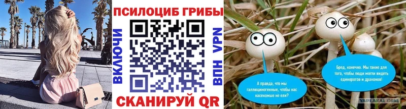 Галлюциногенные грибы Cubensis  Волжск 
