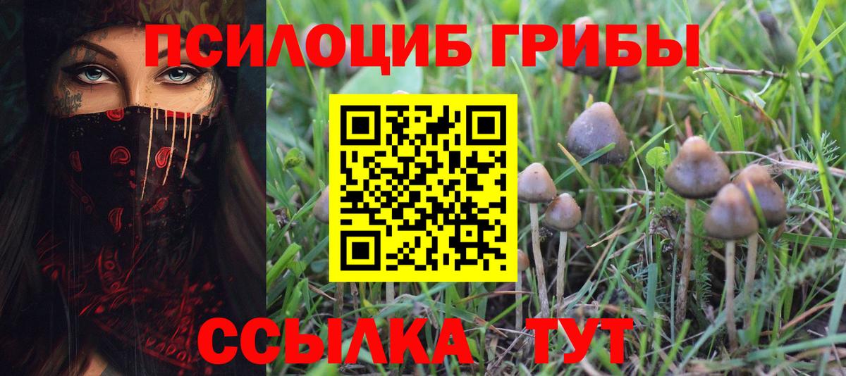 Галлюциногенные грибы Cubensis Волжск