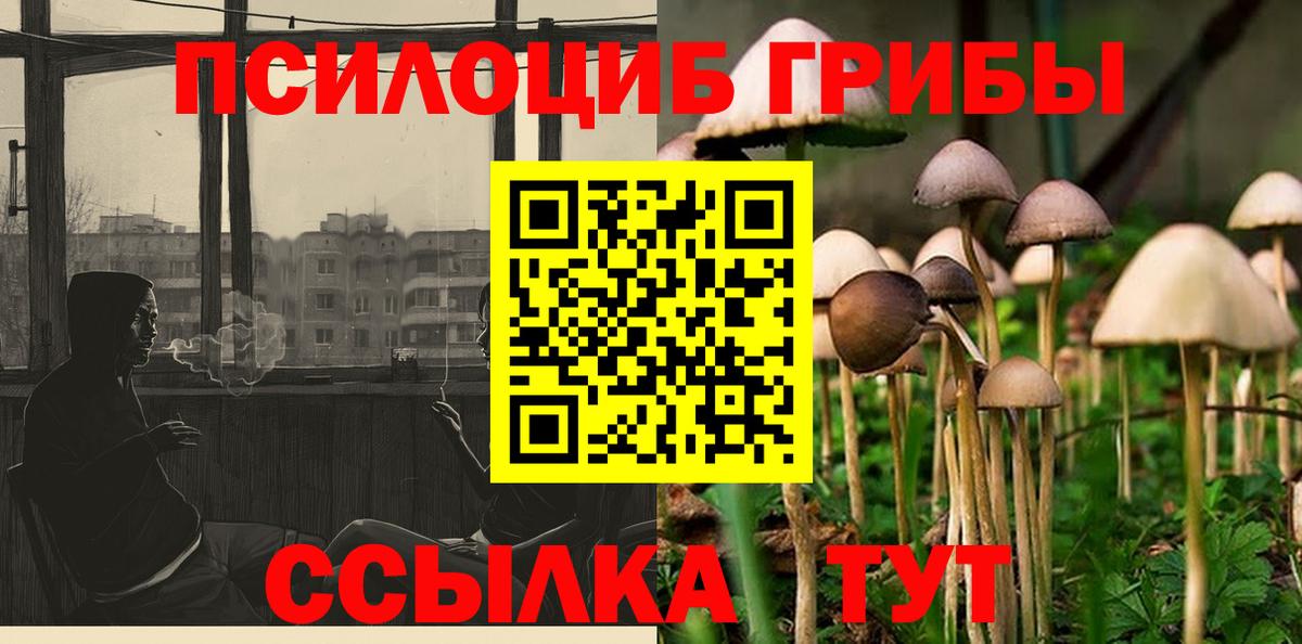 Галлюциногенные грибы Psilocybine cubensis  Вход с VPN  Волжск 